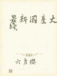 最新国产大奶在线封面