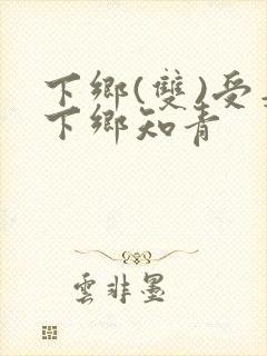 下乡(双)受是下乡知青封面