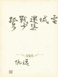 孤战迷城电视剧多少集