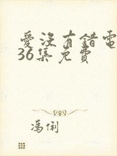 爱没有错电视剧36集免费