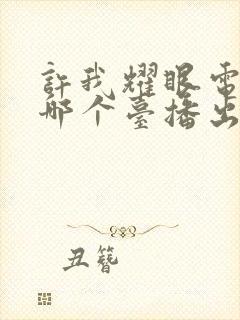 许我耀眼电视剧哪个台播出封面