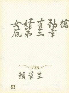 女婿有劲枪枪到底第三章