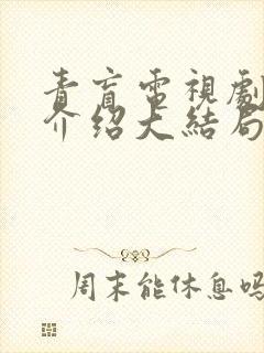 青盲电视剧剧情介绍大结局