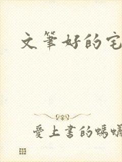 文笔好的宅斗文