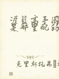 灌篮高手国语版是哪里配的音