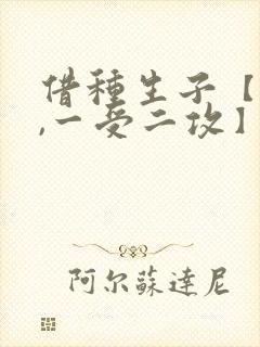 借种生子【双性,一受二攻】