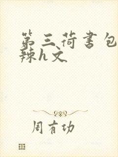 第三荷书包网高辣h文