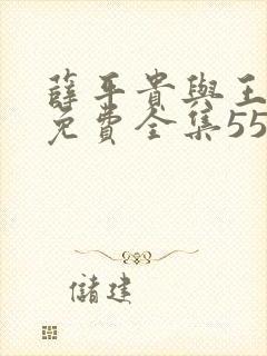 薛平贵与王宝钏免费全集55封面