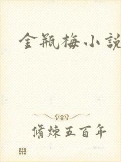 金瓶梅小说封面