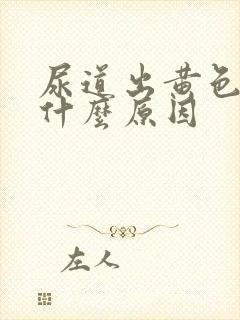 尿道出黄色液体什么原因