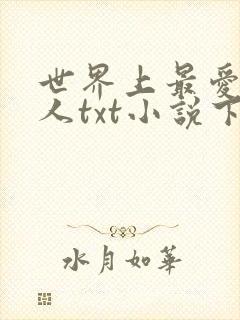 世界上最爱我的人txt小说下载封面