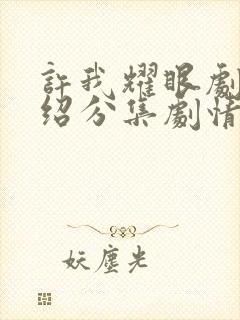 许我耀眼剧情介绍分集剧情介绍