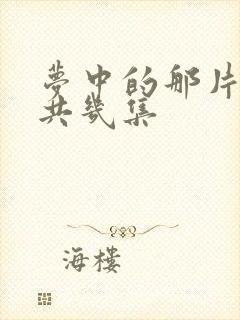 梦中的那片海一共几集