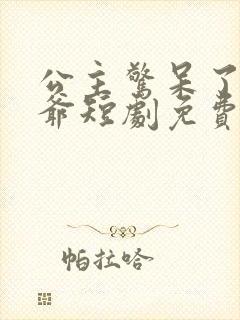 公主惊呆了驸马爷短剧免费观看