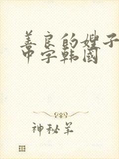 善良的嫂子伦理中字韩国封面