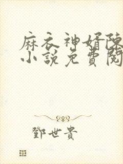 麻衣神婿陈黄皮小说免费阅读封面