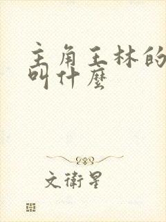 主角王林的小说叫什么