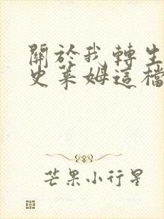 关于我转生变成史莱姆这档事外传