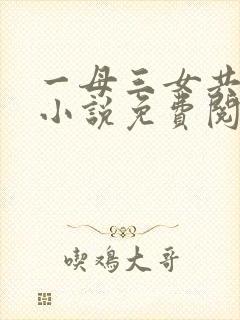 一母三女共一婿小说免费阅读