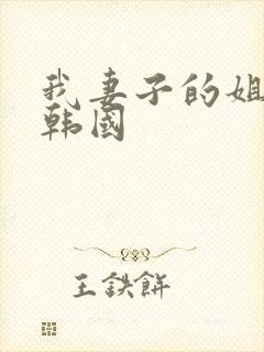 我妻子的姐姐 韩国