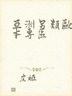 亚洲另类欧美日本专区