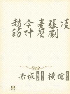 赵今麦张凌赫演的什么剧封面