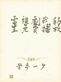 电视剧我的后半生免费播放