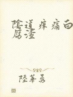 阴道痒痛白带豆腐渣