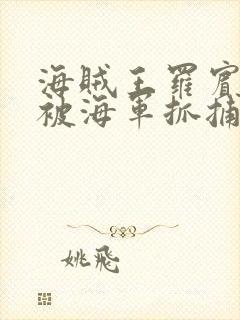 海贼王罗宾娜美被海军抓捕的漫画在封面