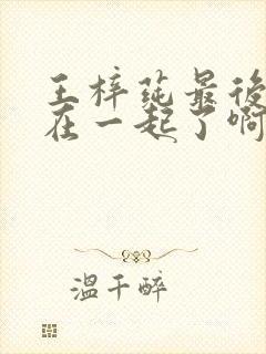 王梓莼最后和谁在一起了啊