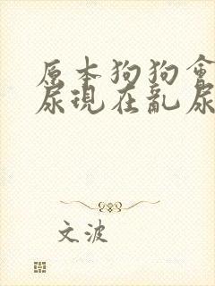 原本狗狗会定点尿现在乱尿怎么办