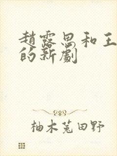 赵露思和王鹤棣的新剧