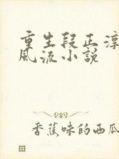 重生段正淳猎艳风流小说