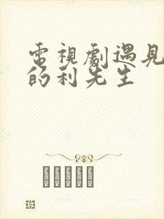 电视剧遇见爱情的利先生