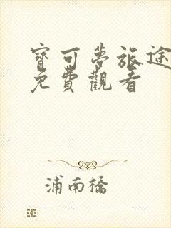 宝可梦旅途全集免费观看