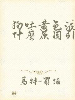 狗吐黄色液体是什么原因引起的封面