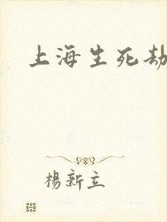 上海生死劫封面