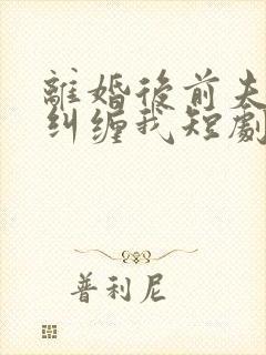 离婚后前夫总想纠缠我短剧