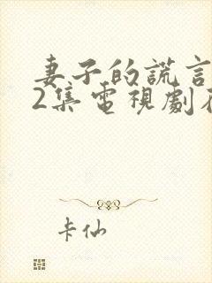 妻子的谎言第52集电视剧在线观看