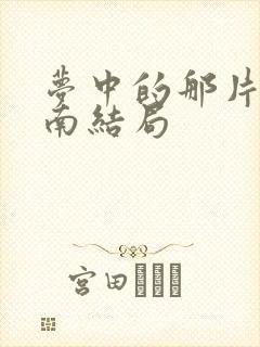 梦中的那片海项南结局