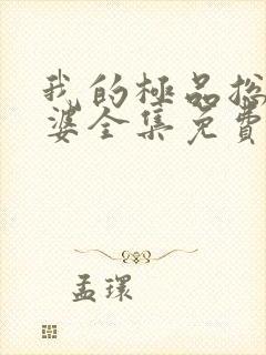 我的极品总裁老婆全集免费