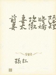 前妻攻略陆总前妻太傲娇短剧