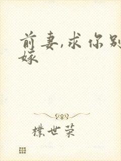 前妻,求你别改嫁