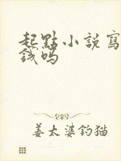 起点小说写书赚钱吗封面