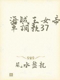 海贼王女帝被海军调教37