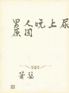 男人晚上尿频的原因封面