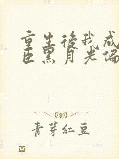 重生后我成了权臣黑月光偏方方