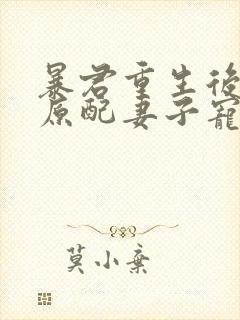 暴君重生后,将原配妻子宠上天