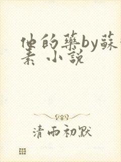 他的药by苏酥素 小说