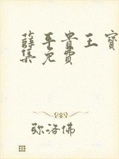 薛平贵王宝钏全集免费封面